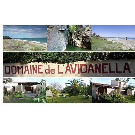 Domaine De L'Avidanella Apartment Santa-Lucia-di-Moriani Exterior photo
