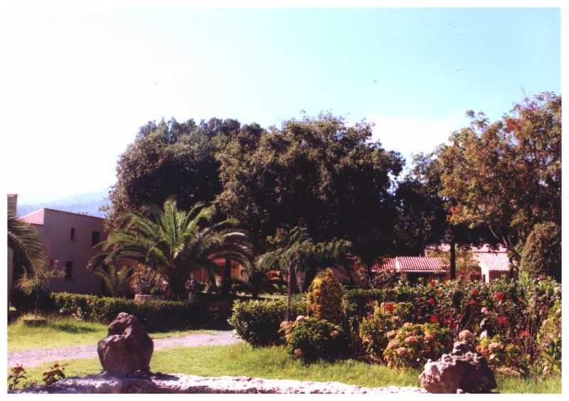 Domaine De L'Avidanella Apartment Santa-Lucia-di-Moriani Exterior photo